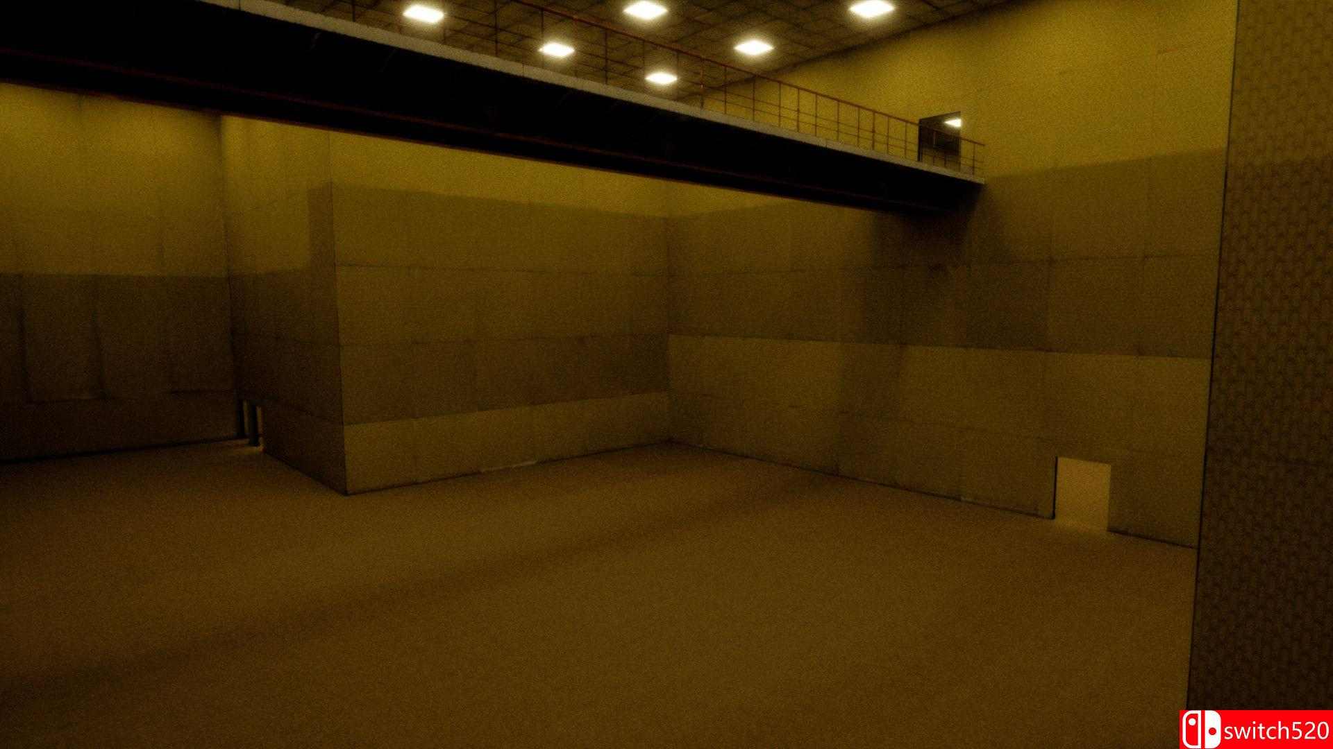 《密室：大灭绝（The Backrooms: Mass Extinction）》TENOKE镜像版[EN]_5