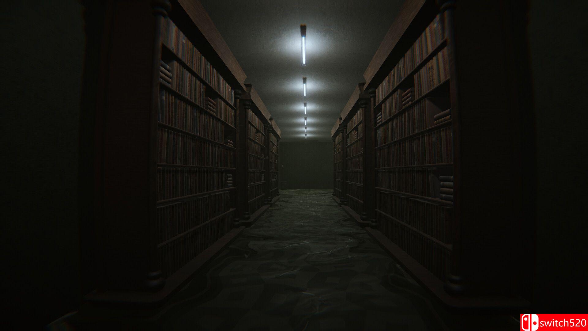 《临界维度（The Liminal Dimension）》官方中文 Build 16627351 P2P硬盘版[CN/TW/EN/JP]_2