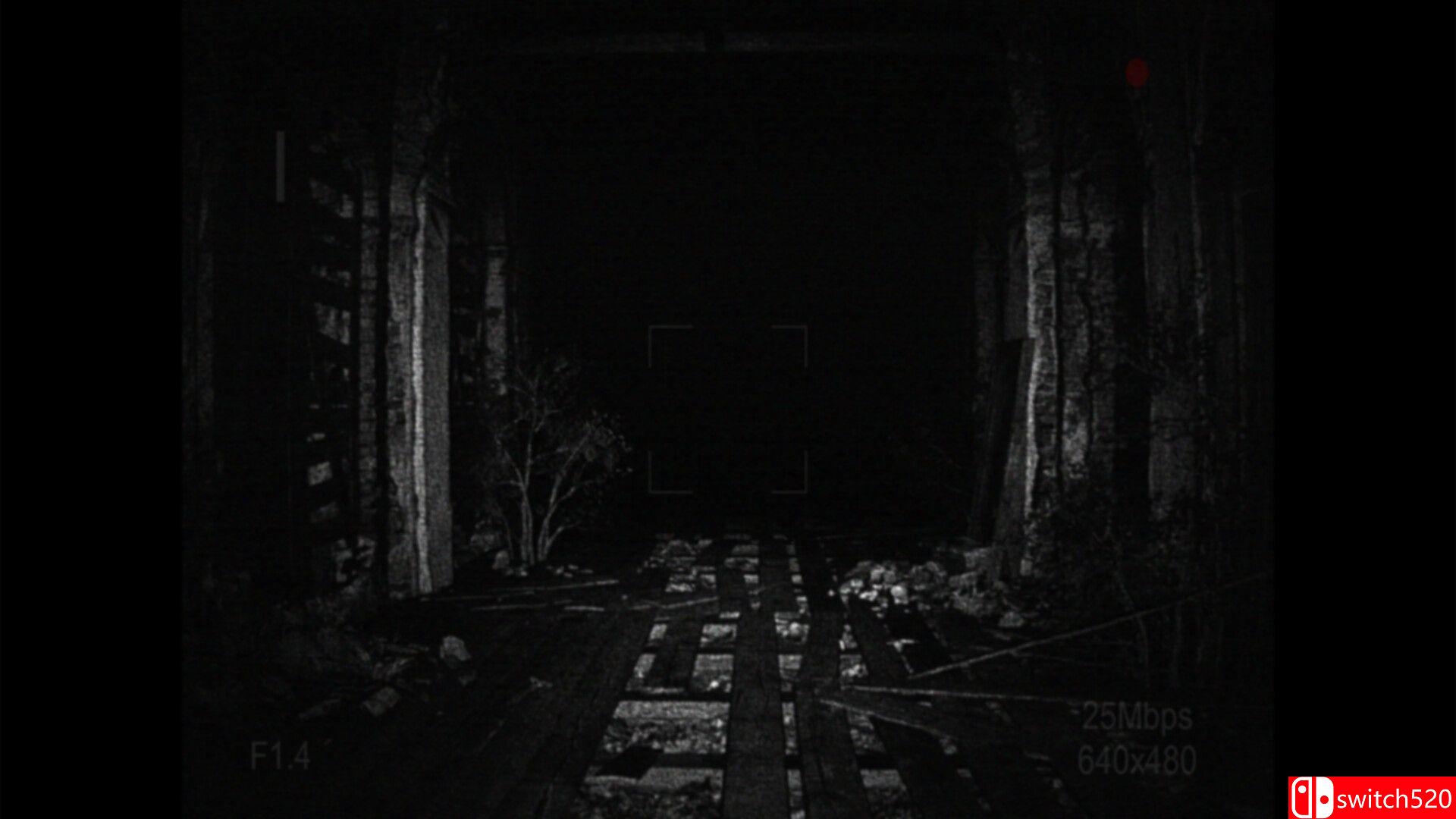 《[录制] 荒芜（[REC] Desolation）》官方中文 TENOKE镜像版[CN/TW/EN/JP]_3
