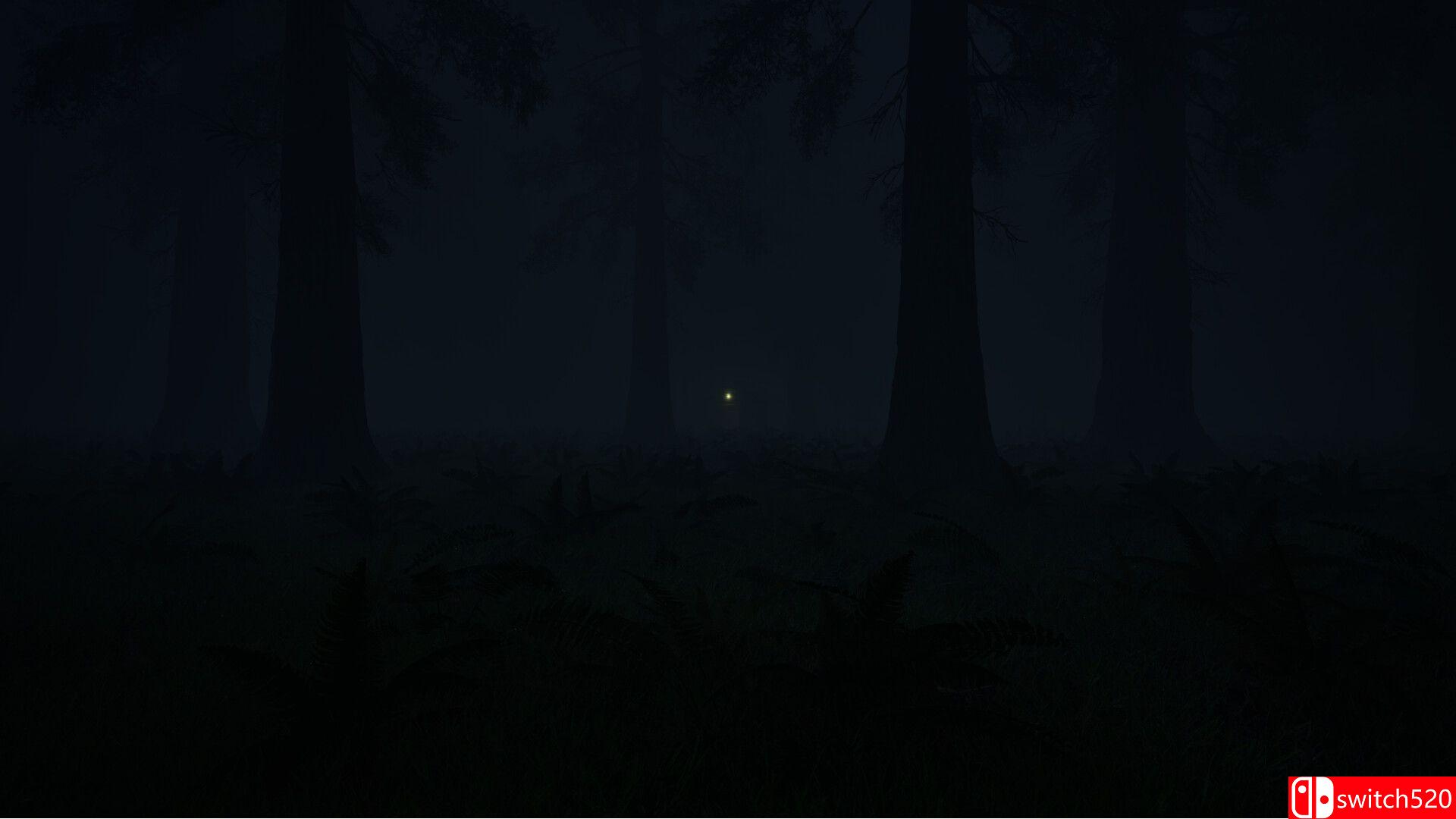 《森林：求救信号（Forest - The Call For Help）》P2P硬盘版[EN]_1