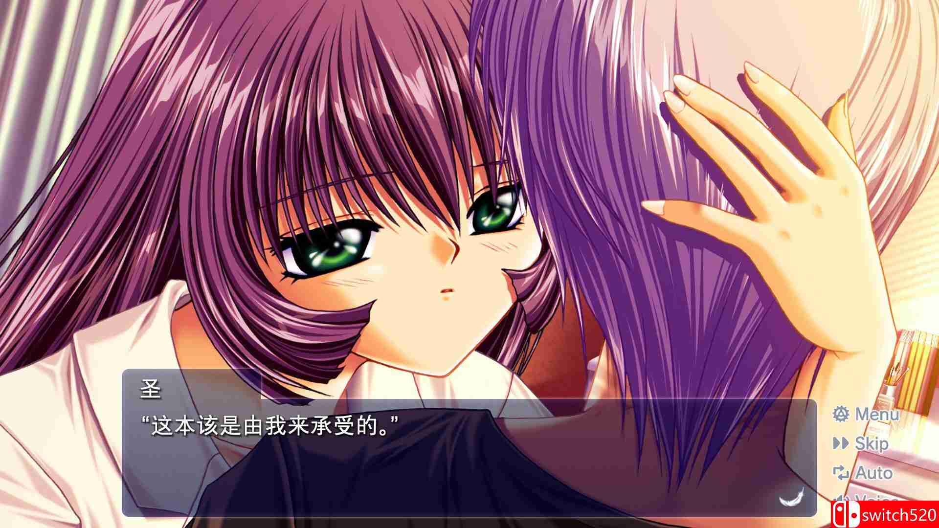 《AIR（AIR）》官方中文 TENOKE镜像版[CN/EN/JP]_4