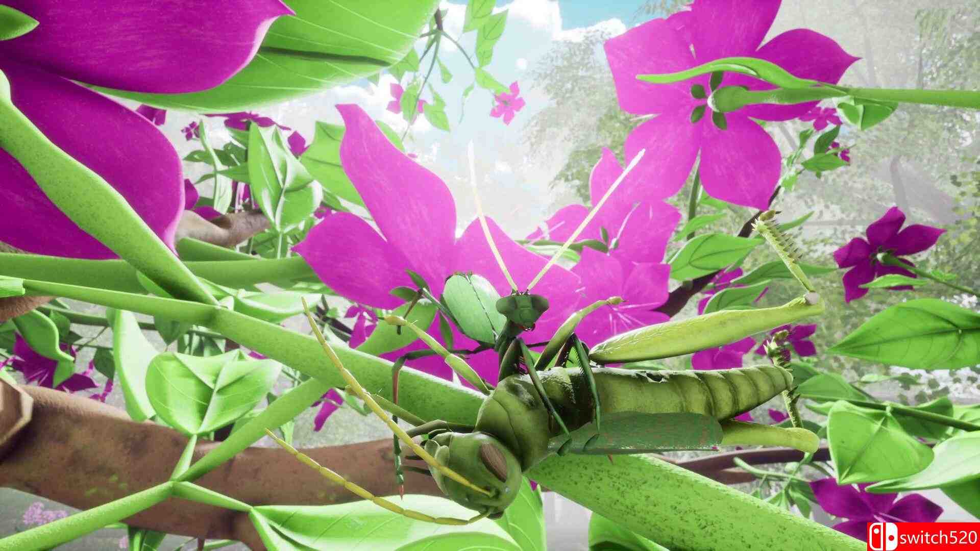 《自然与生命：沉醉于花蜜（Nature And Life - Drunk On Nectar）》TENOKE镜像版[EN]_3