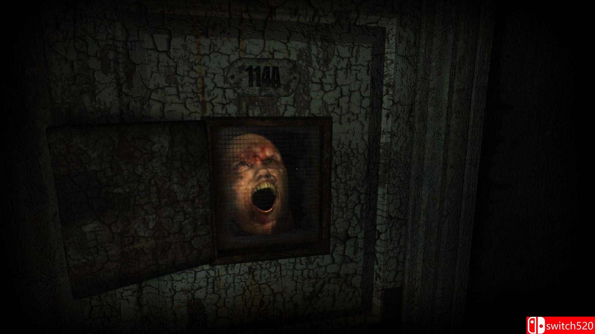 《疯人院（ASYLUM）》RUNE镜像版[EN]_5
