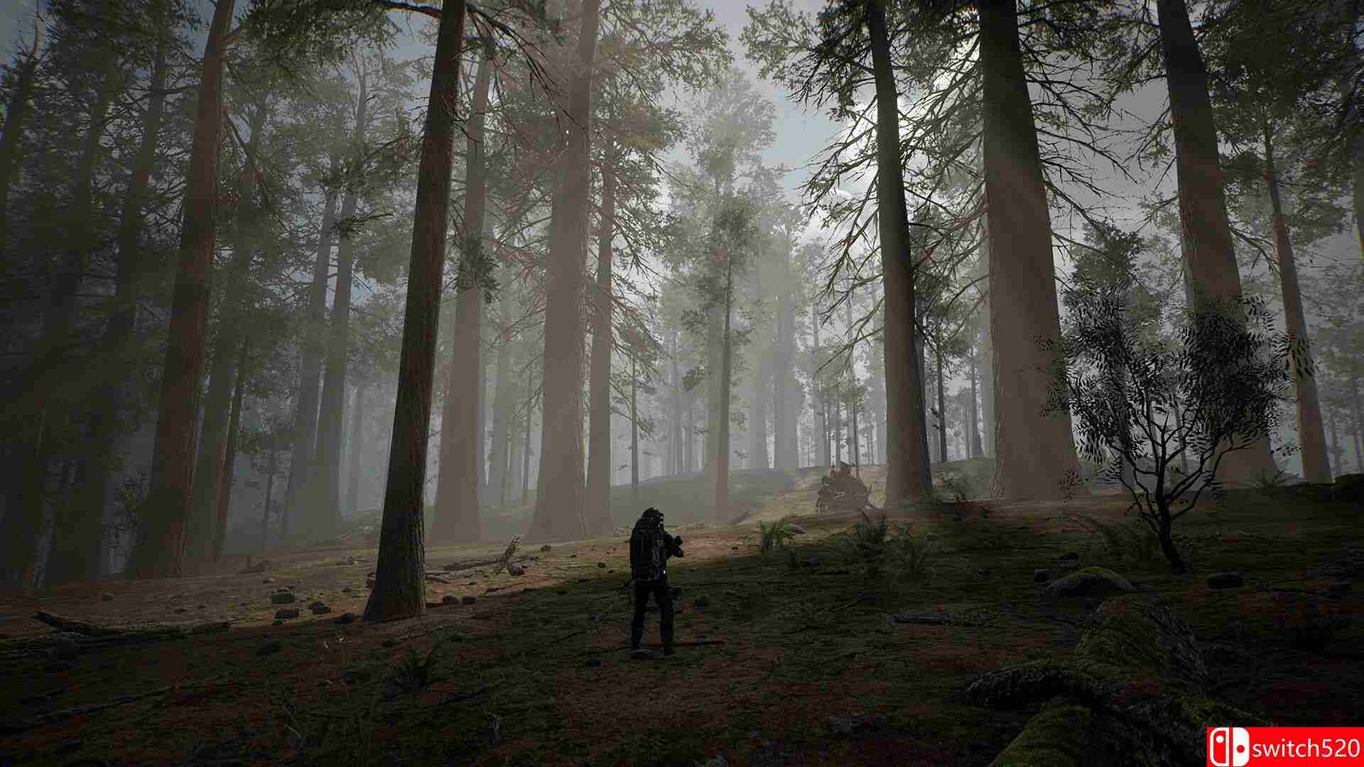 《生命效应（LIFE EFFECT）》Early Access P2P硬盘版[EN]_3