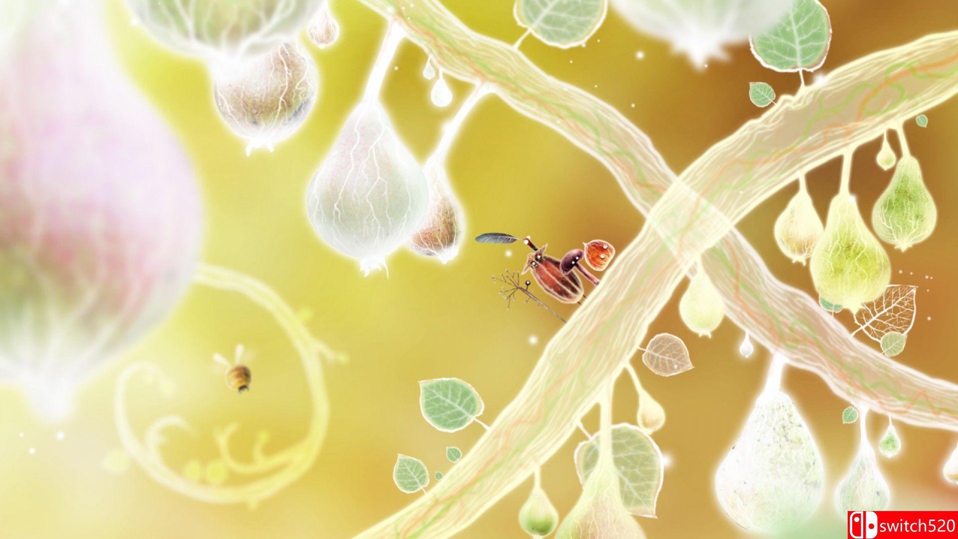《植物精灵（Botanicula）》官方中文 v1.2.0 P2P硬盘版[CN/EN/JP]_5
