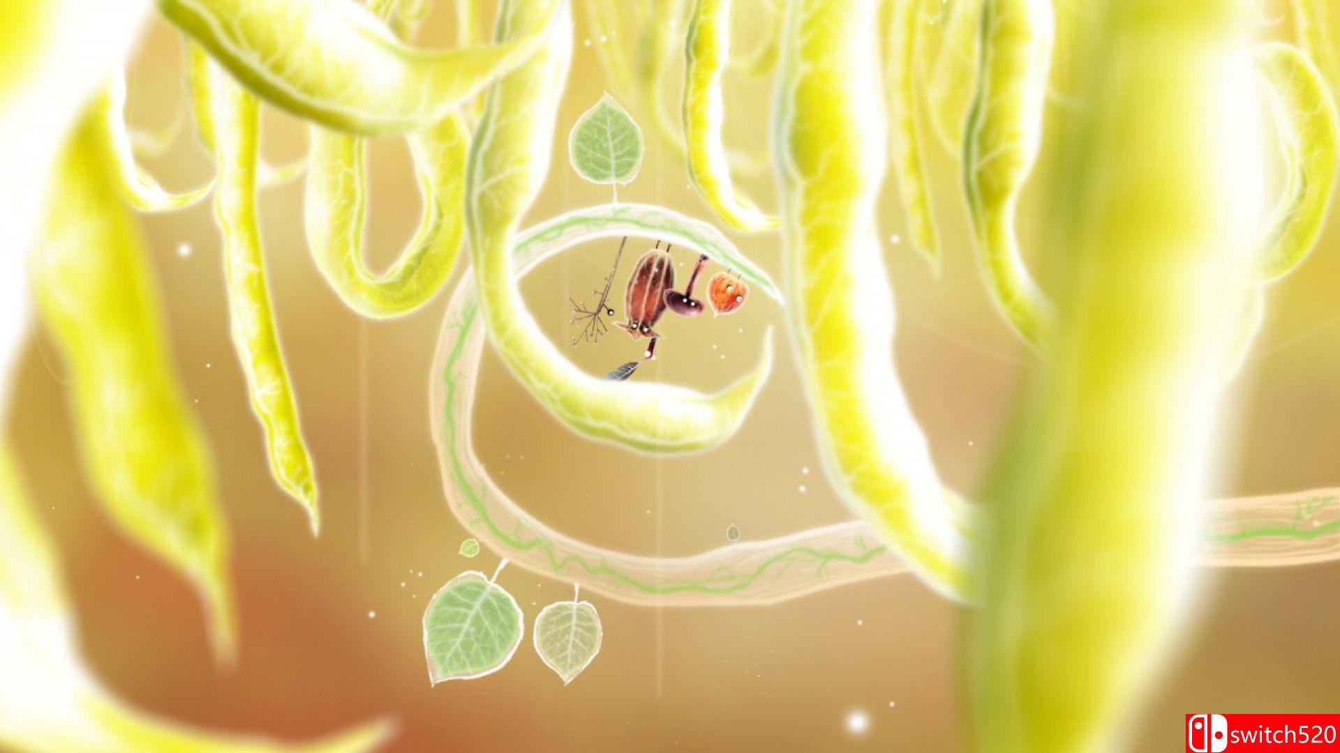 《植物精灵（Botanicula）》官方中文 v1.2.0 P2P硬盘版[CN/EN/JP]_3