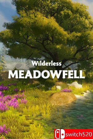 《荒野：梅多费尔（Wilderless: Meadowfell）》Build 17369606 P2P硬盘版[EN]