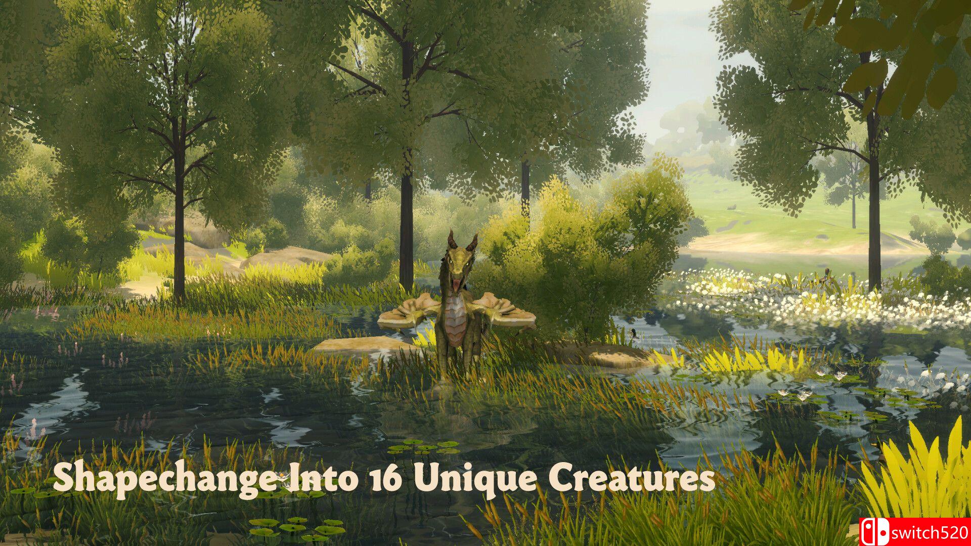 《荒野：梅多费尔（Wilderless: Meadowfell）》Build 17369606 P2P硬盘版[EN]_3
