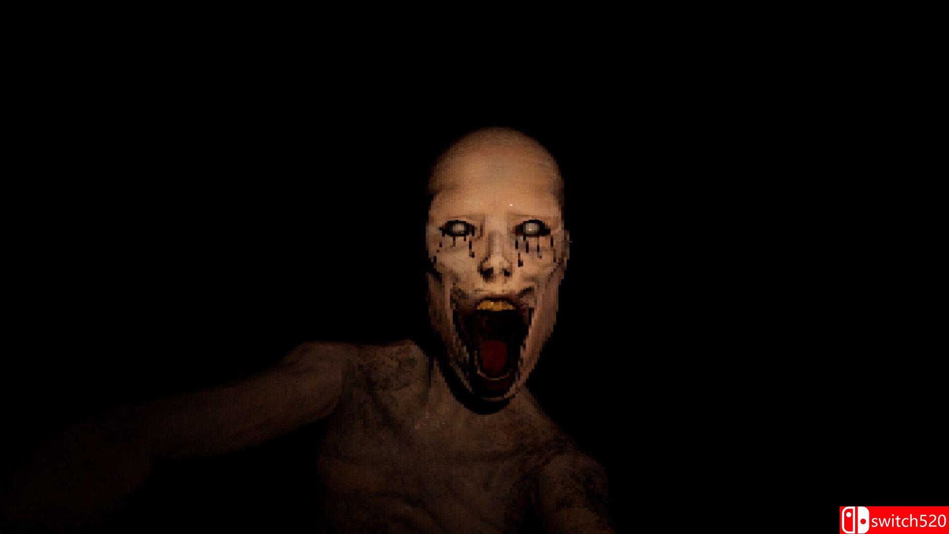 《惊吓模拟器：系统入侵（Jumpscare Simulator: System Breach）》TENOKE镜像版[EN]_5