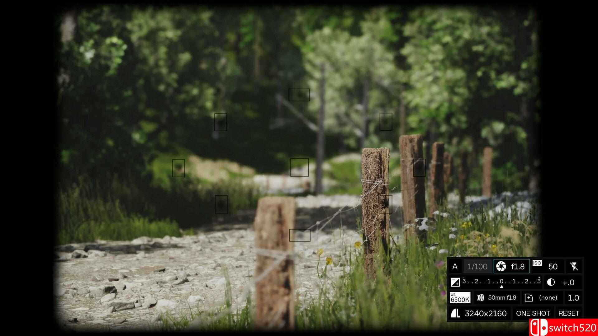 《模拟美景摄影（Lushfoil Photography Sim）》官方中文 TENOKE镜像版[CN/TW/EN/JP]_4