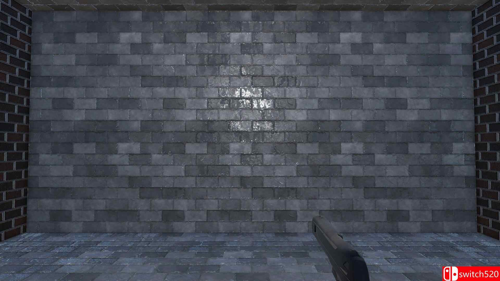 《射穿墙壁（Shoot The Wall）》TENOKE镜像版[EN]_2