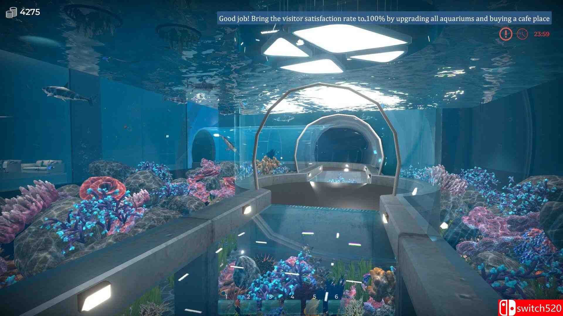 《水族馆（Aquarist）》官方中文 集成实验室DLC TENOKE镜像版[CN/TW/EN/JP]_2