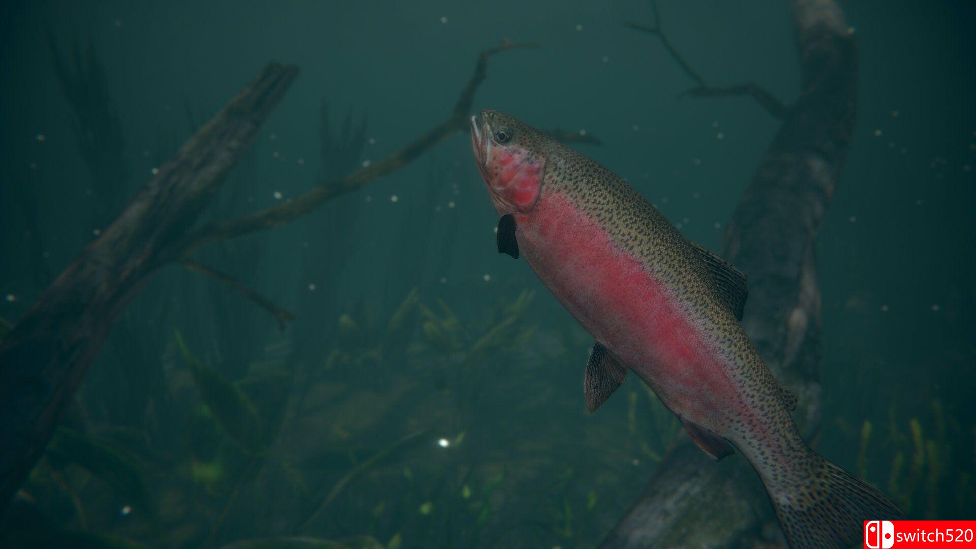 《终极钓鱼模拟器2（Ultimate Fishing Simulator 2）》官方中文 RUNE镜像版[CN/EN/JP]_1