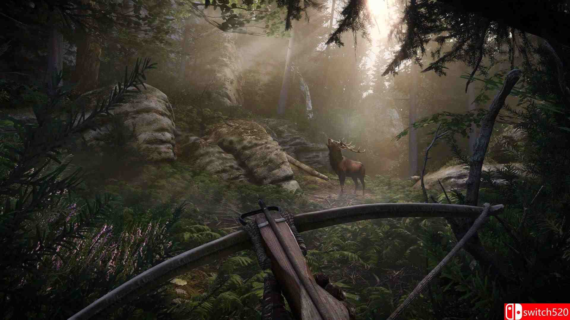 《天国：拯救2（Kingdom Come: Deliverance II）》集成生死绘梦DLC RUNE镜像版[CN/TW/EN/JP]_5