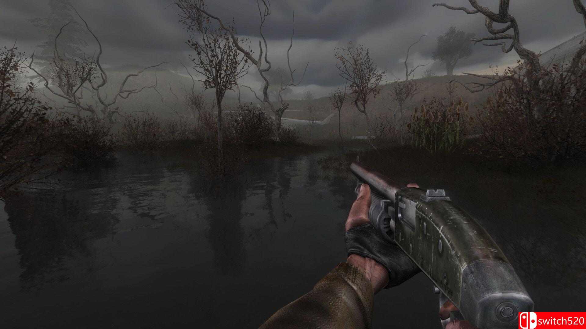 《潜行者：切尔诺贝利的阴影（S.T.A.L.K.E.R.: Shadow of Chornobyl）》增强版 RUNE镜像版[CN/EN]_1