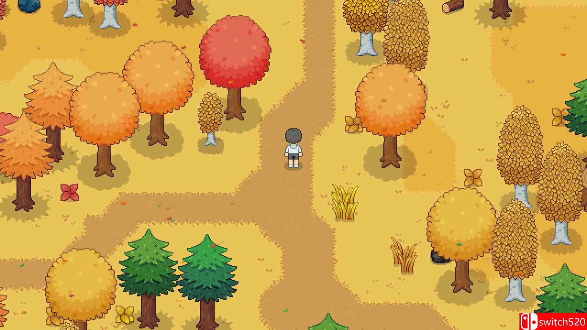 《妮娜诺 : 梦之牧场（Ninano: Dream Ranch）》官方中文 v1.1.1 P2P硬盘版[CN/TW/EN/JP]_2