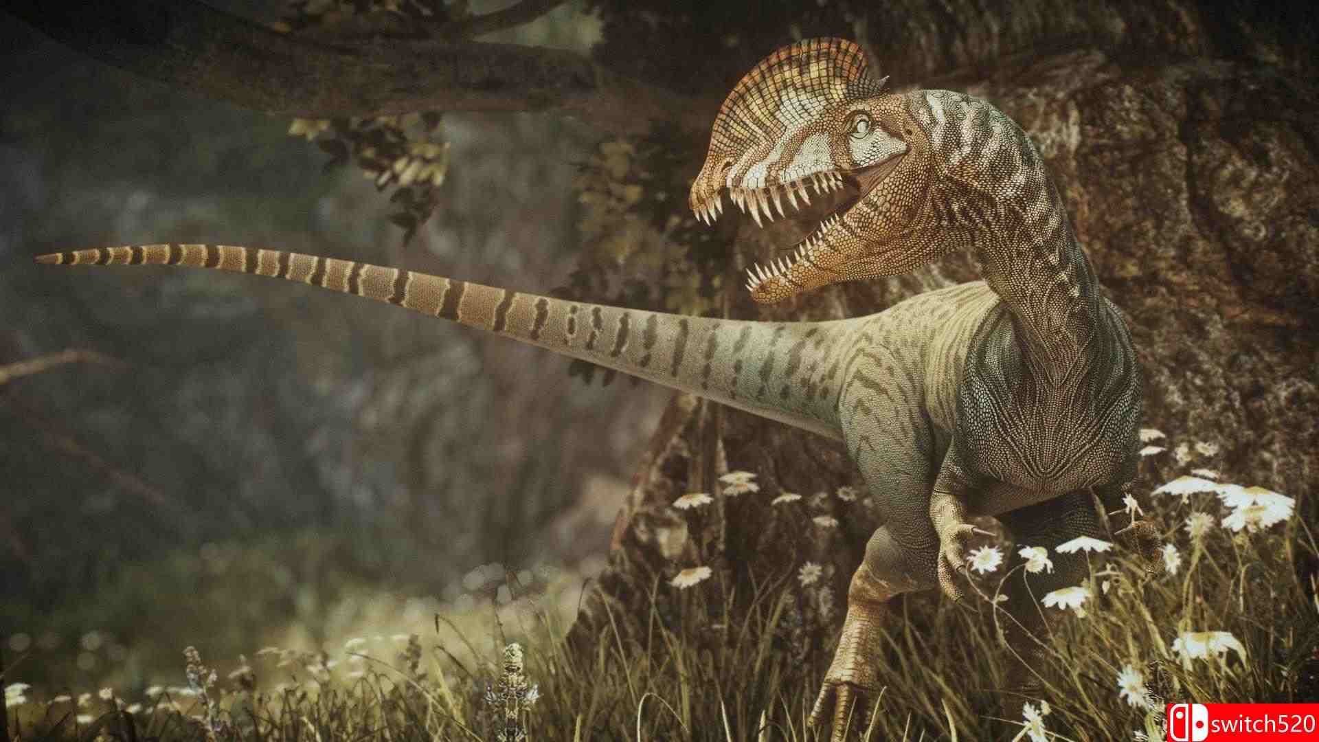 《原始杀戮：灭绝（Primal Carnage: Extinction）》Build 17751372 P2P硬盘版[EN]_4