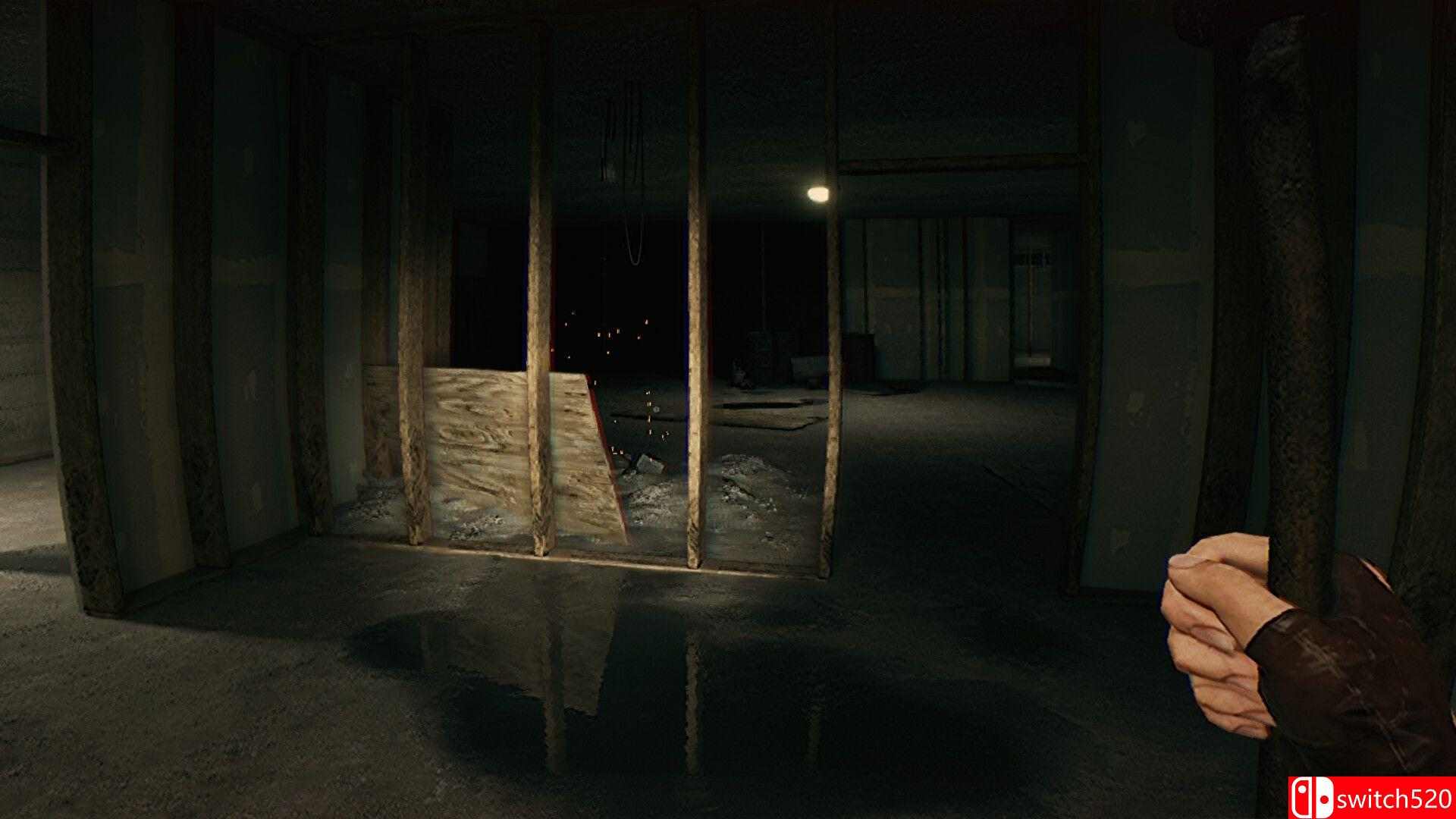 《恐惧：悬案（Dread: The Cold Case）》官方中文 TENOKE镜像版[CN/EN/JP]_5