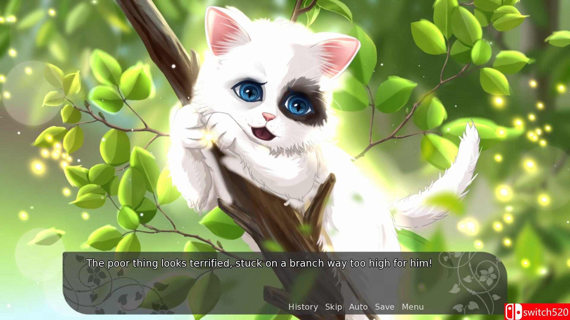 《我的优雅猫：雪（My Fair Cat: Snow）》官方中文 Build 16849698 P2P硬盘版[CN/EN/JP]_3