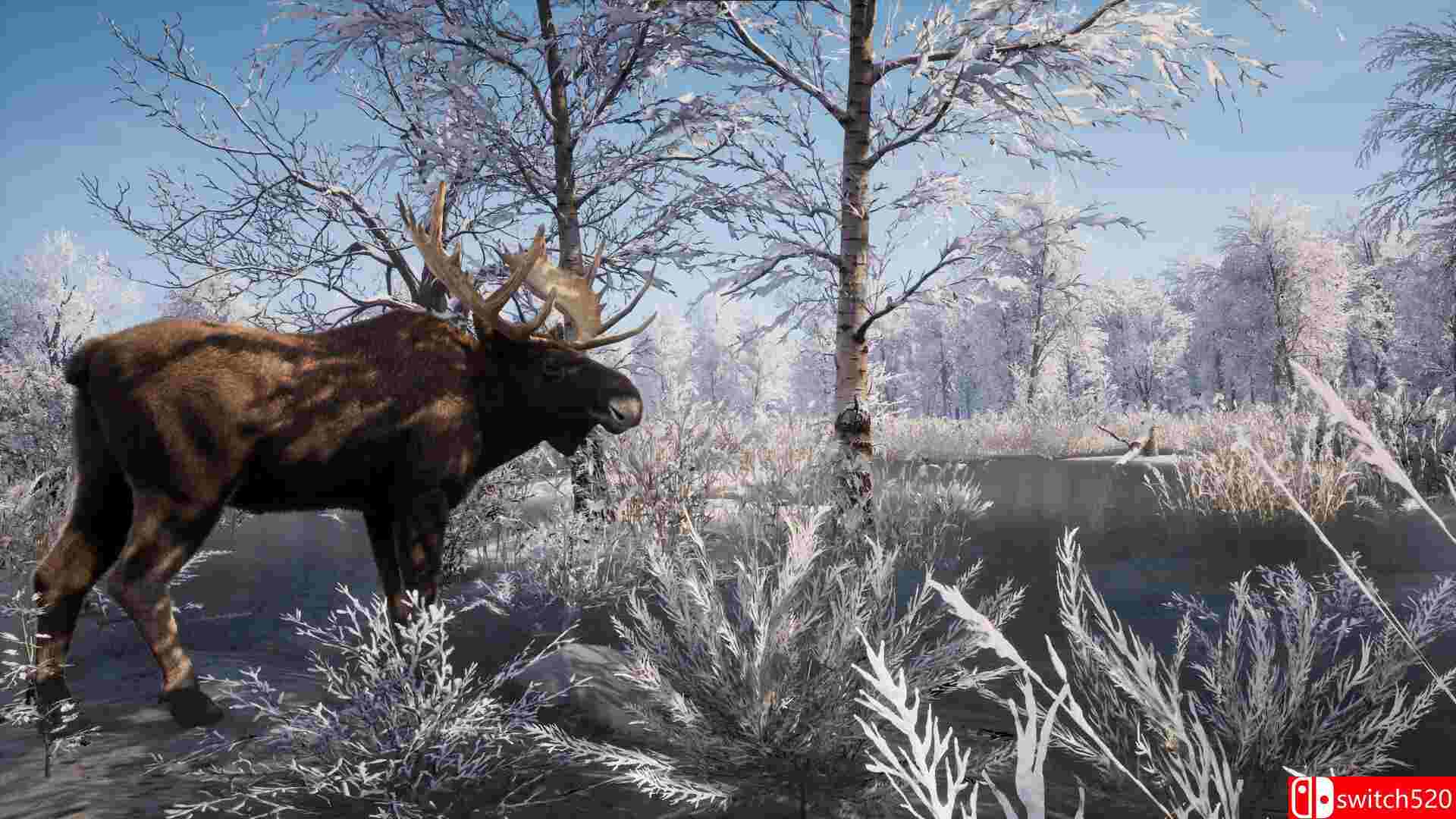 《中世纪王朝（Medieval Dynasty）》官方中文 集成自然回声DLC RUNE镜像版[CN/EN/JP]_2