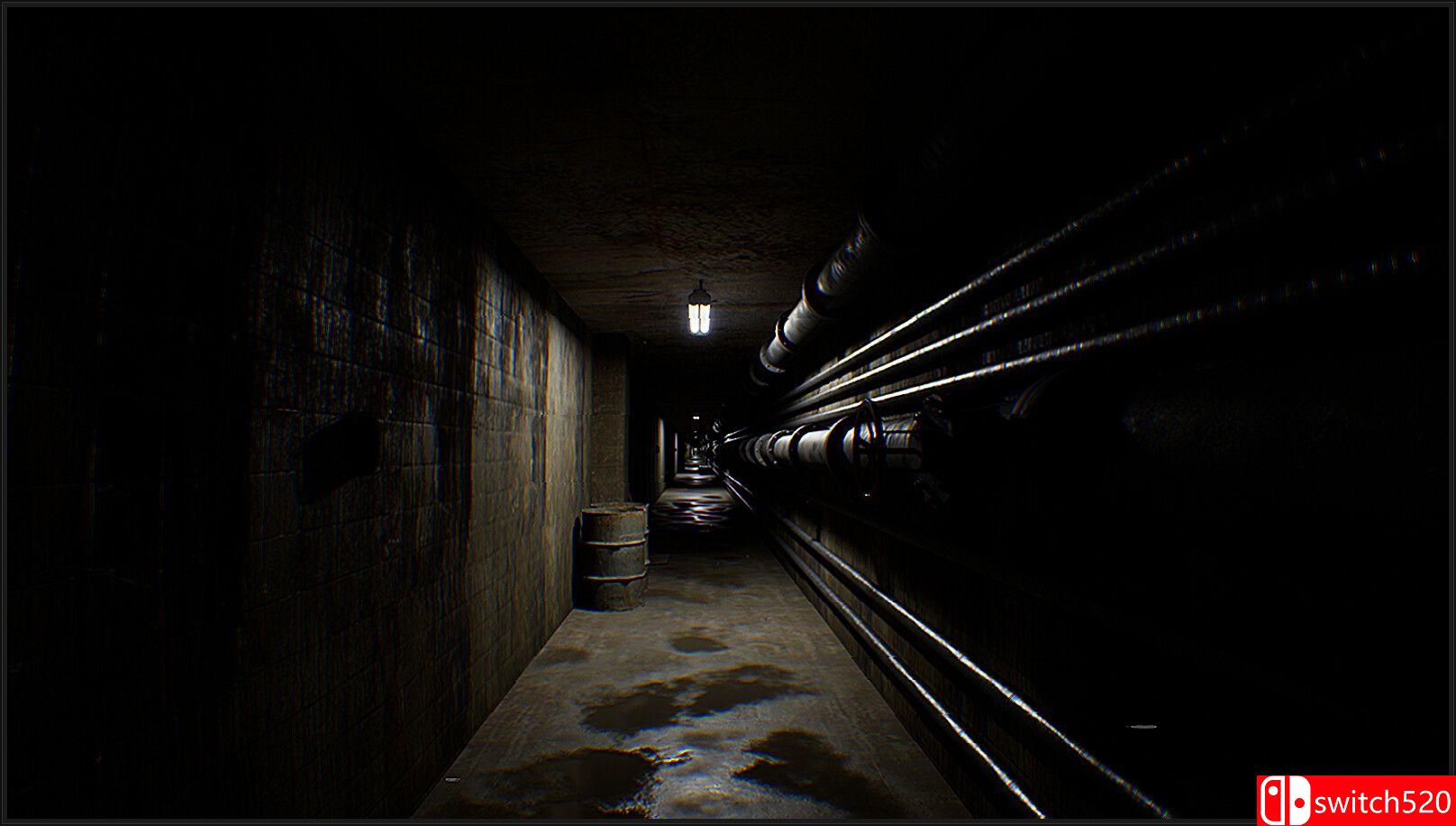 《后室：探险（The Backrooms: Expedition）》TENOKE镜像版[EN]_3