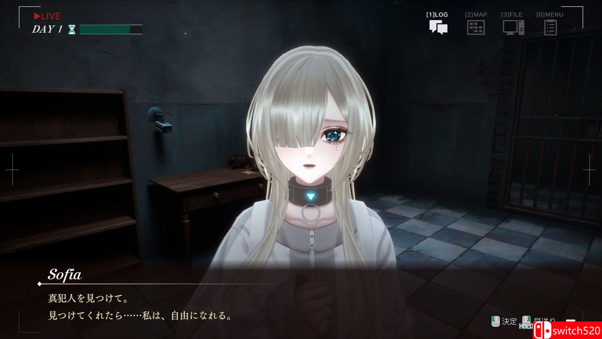 《苏菲亚的谎言与代价（Sofia in Exchange for Lies）》官方中文 TENOKE镜像版[CN/EN/JP]_3