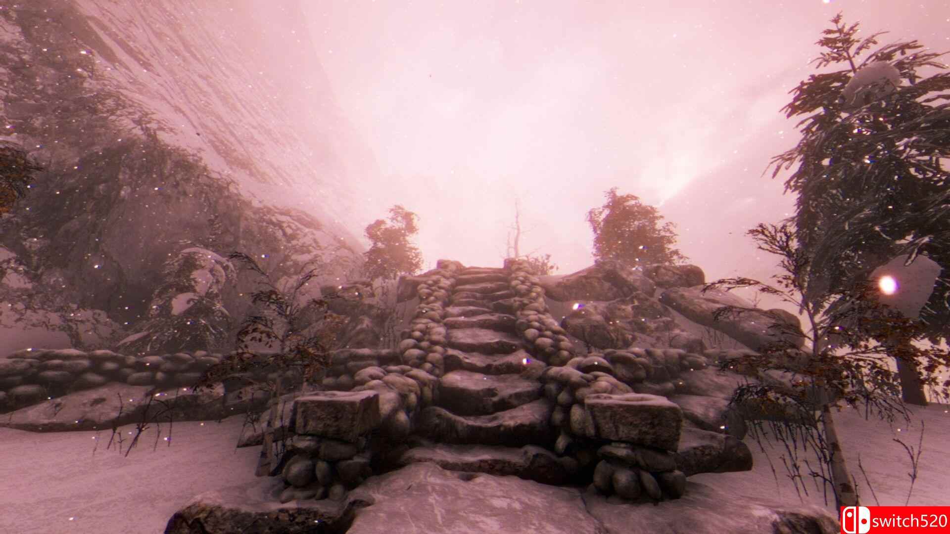 《墓之外传：白色沉寂（Tales Beyond The Tomb - White Silence）》TENOKE镜像版[EN]_1