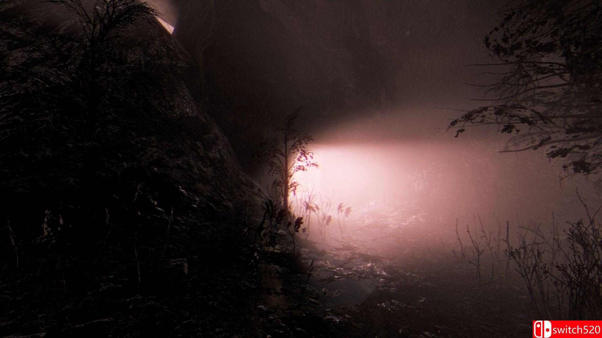 《墓之外传：白色沉寂（Tales Beyond The Tomb - White Silence）》TENOKE镜像版[EN]_5