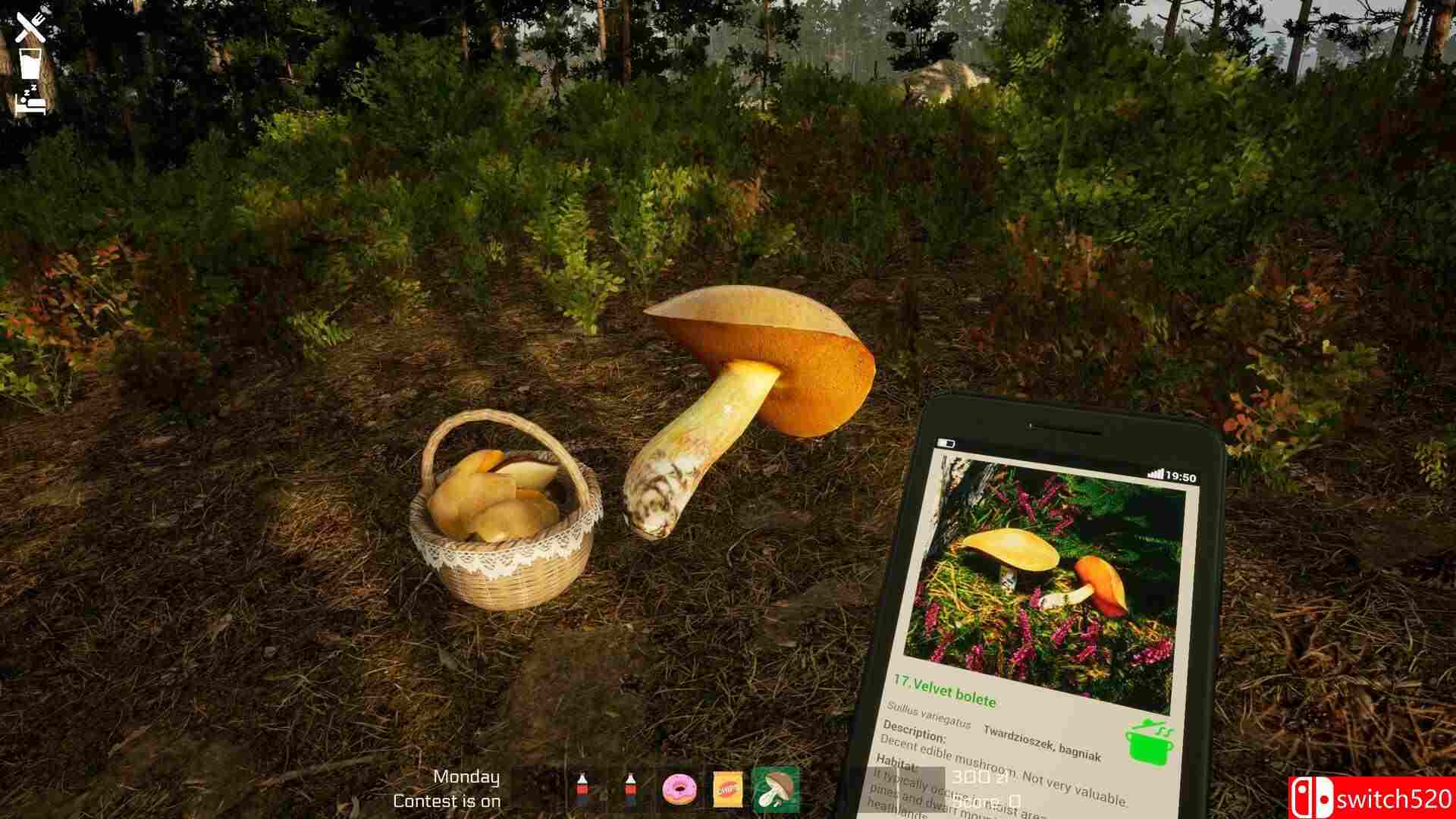 《蘑菇季节（Mushroom Season）》Build 17648725 P2P硬盘版[EN]_3