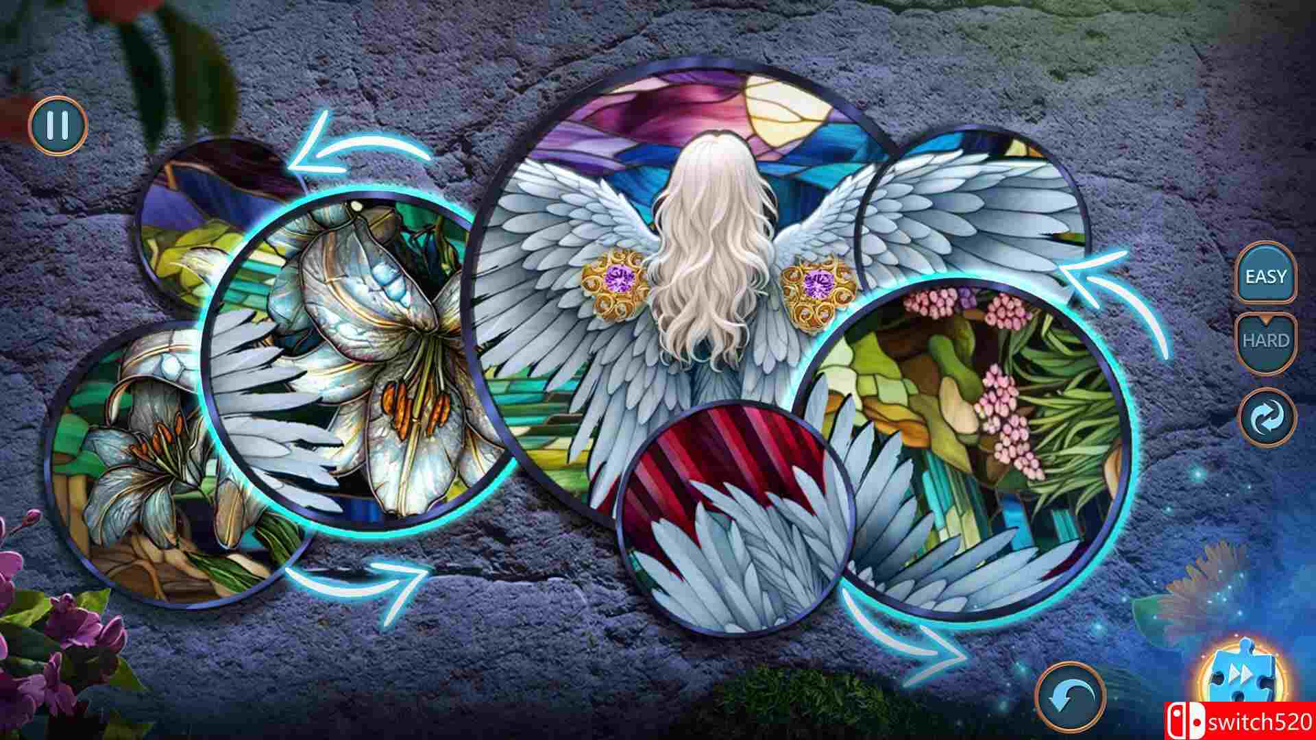 《魔法故事：神秘森林（Enchanted Stories: Mystic Woods）》典藏版 RAZOR硬盘版[EN]_5