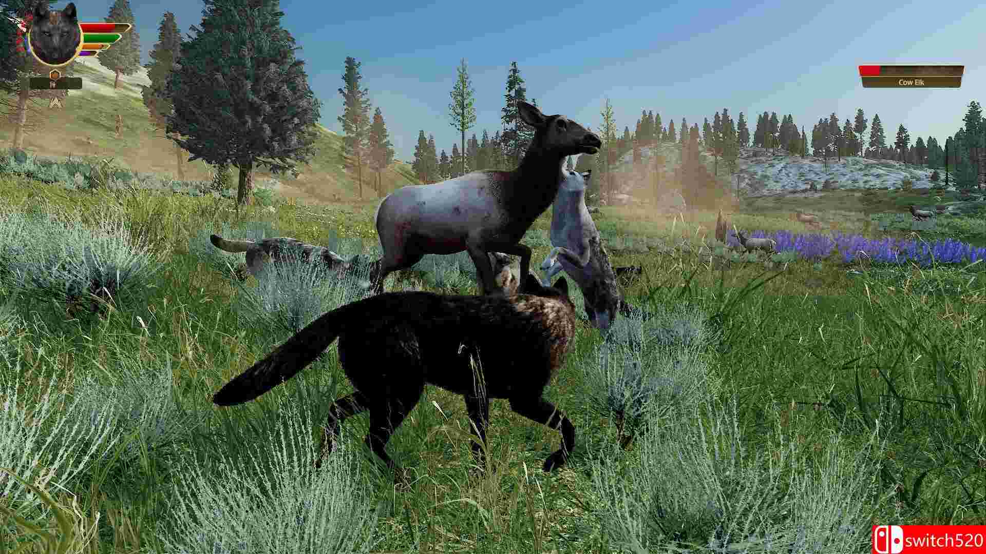 《野狼谜踪：周年纪念版（WolfQuest: Anniversary Edition）》RUNE镜像版[EN]_5