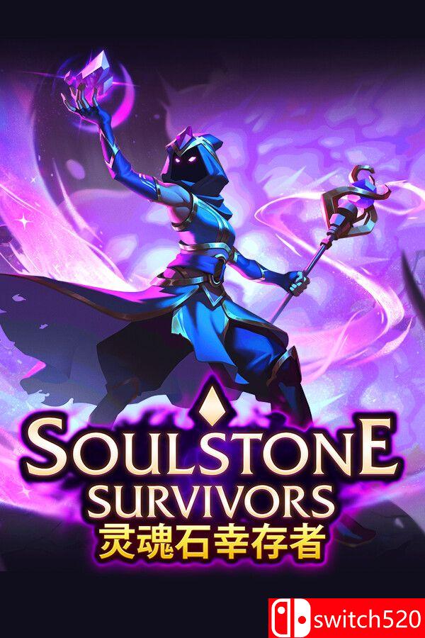 《灵魂石幸存者（Soulstone Survivors）》官方中文 集成黄金窃贼升级 P2P硬盘版[CN/TW/EN/JP]