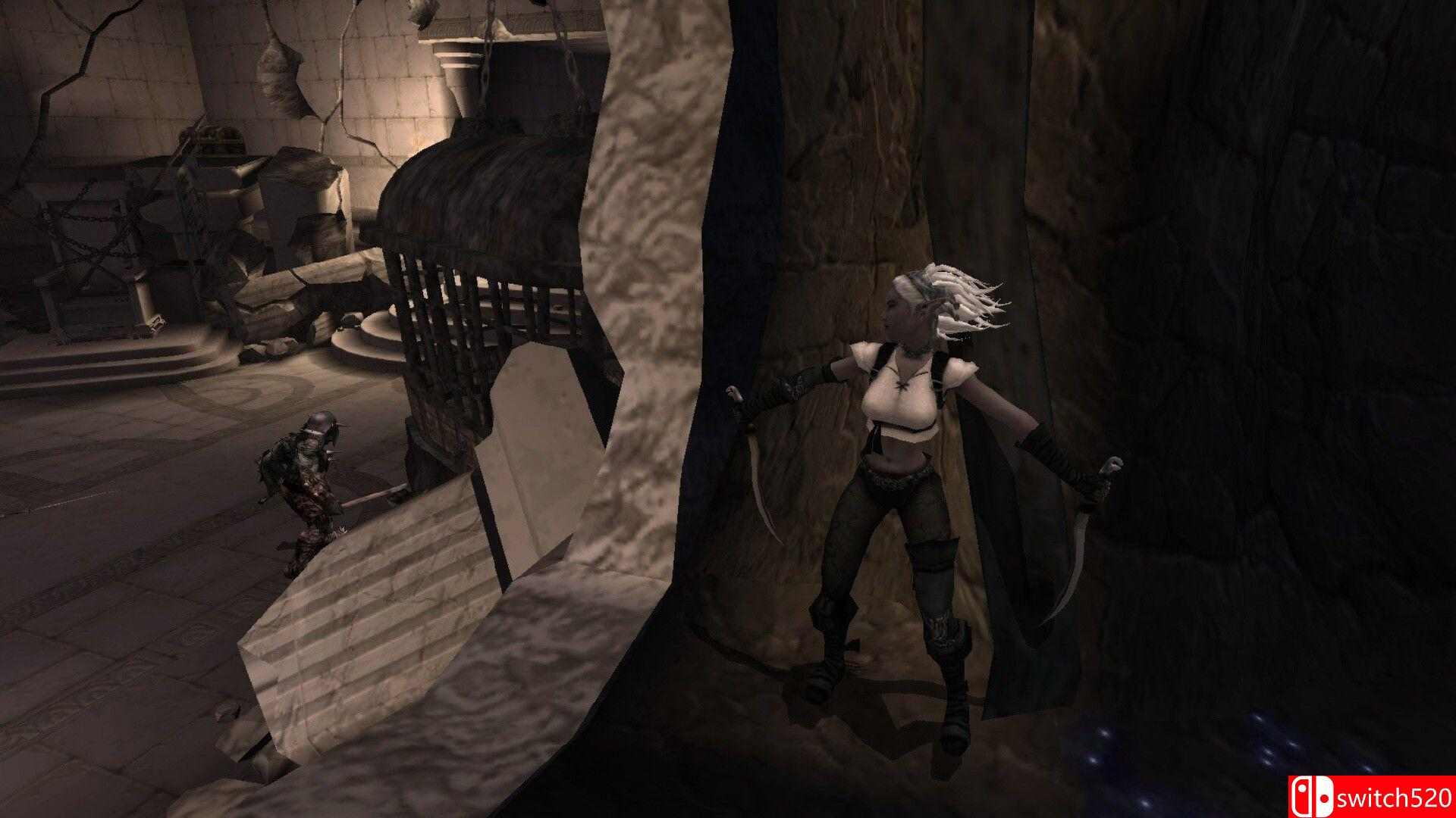 《遗忘国度：魔神之石（Forgotten Realms: Demon Stone）》P2P硬盘版[EN]_3