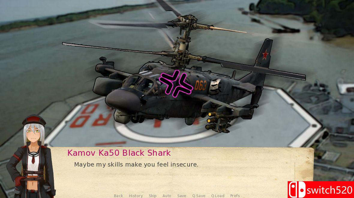 《攻击直升机约会模拟器（Attack Helicopter Dating Simulator）》v8853439 P2P硬盘版[EN]_4