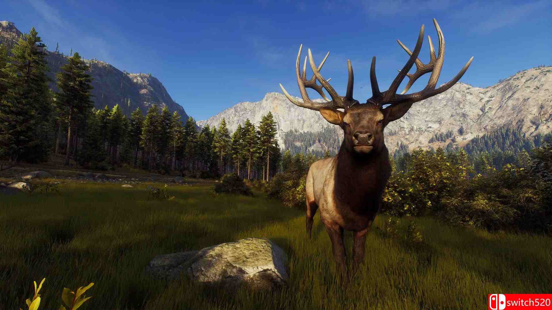 《狩猎之道（Way of the Hunter）》官方中文 集成猎人优势包DLC I_KnoW镜像版[CN/TW/EN/JP]_1