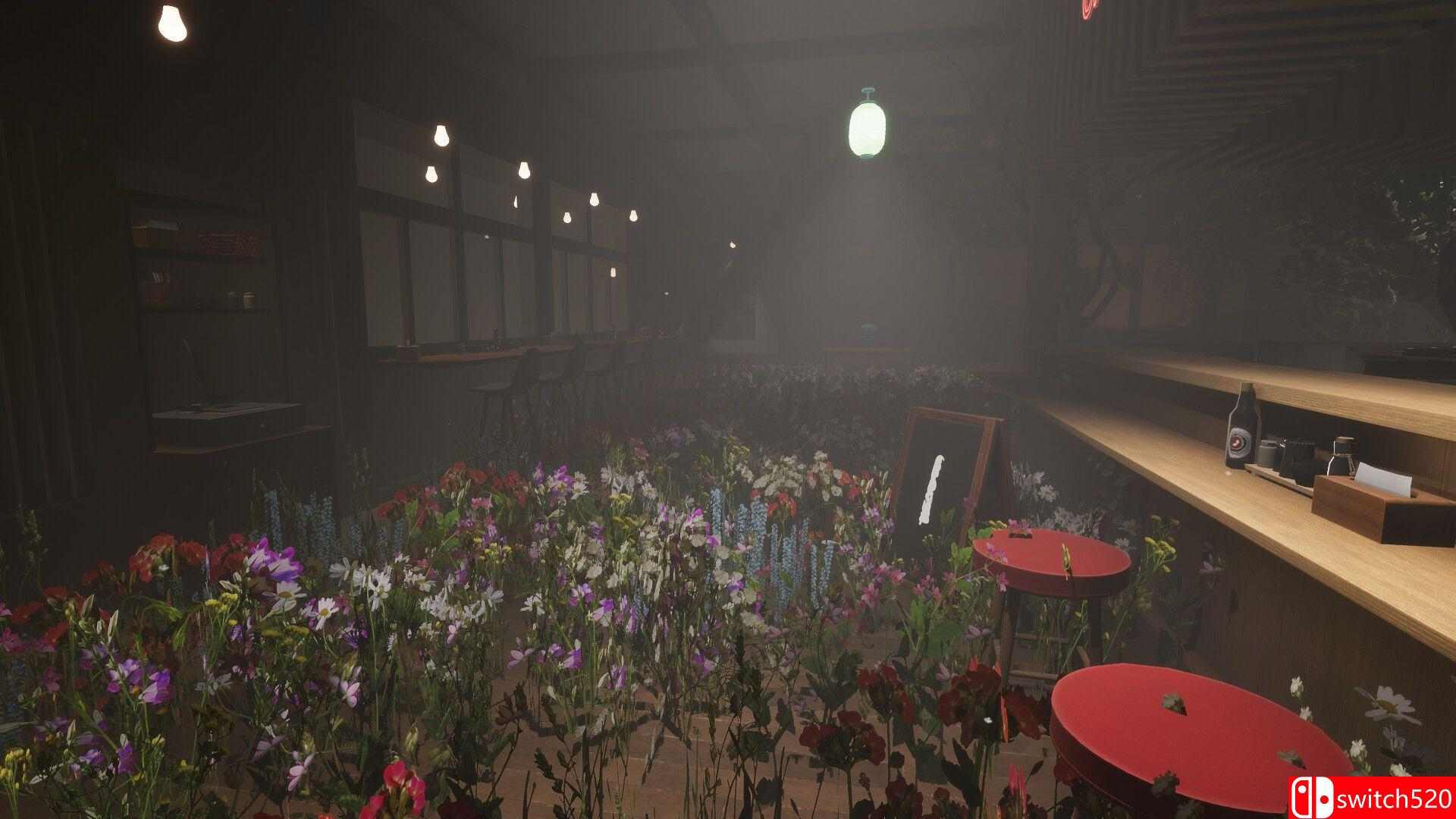 《曾见之地（Seen Before）》官方中文 Early Access P2P硬盘版[CN/TW/EN/JP]_2