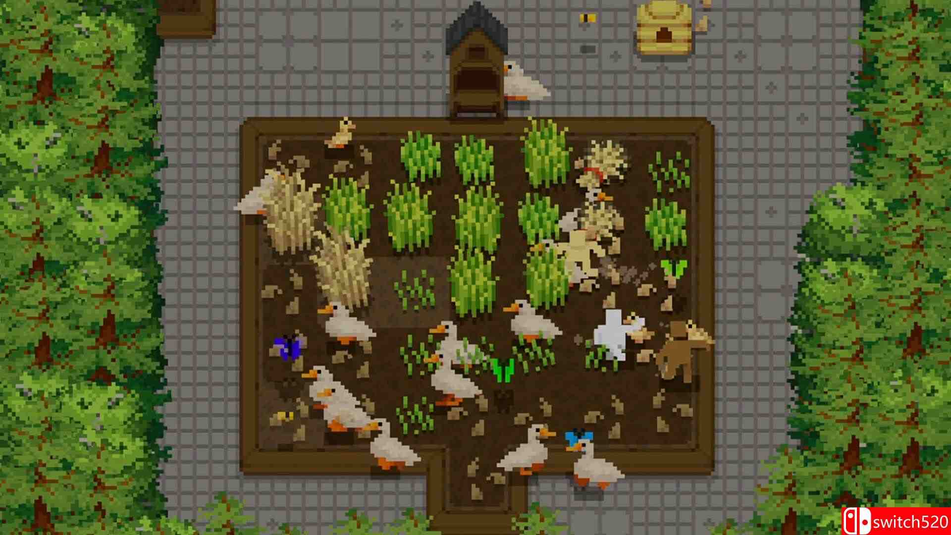 《微型露台（Tiny Terraces）》官方中文 Build 19573559 P2P硬盘版[CN/EN/JP]_2