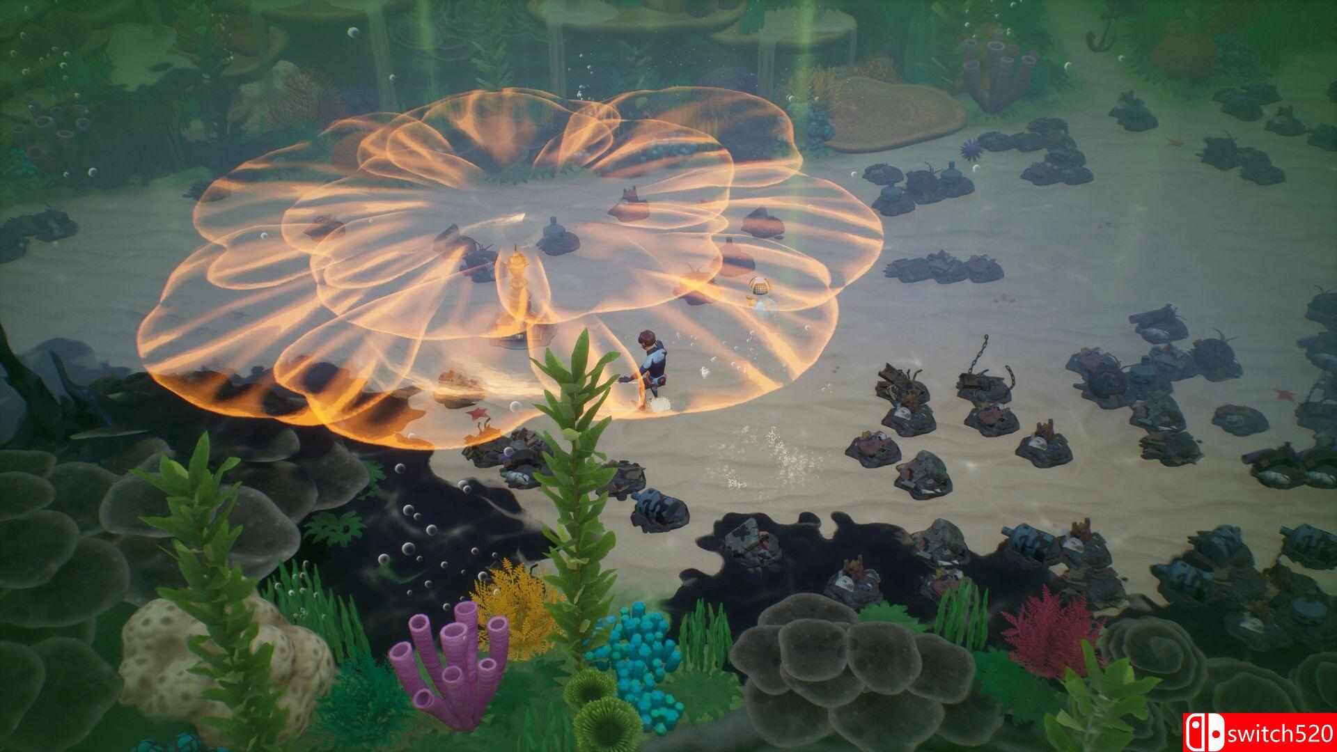 《珊瑚岛（Coral Island）》官方中文 v1.2-1238 TENOKE镜像版[CN/EN/JP]_2