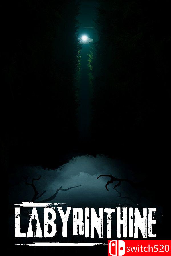 《迷路（Labyrinthine）》官方中文 v20250827 TENOKE镜像版[CN/EN/JP]