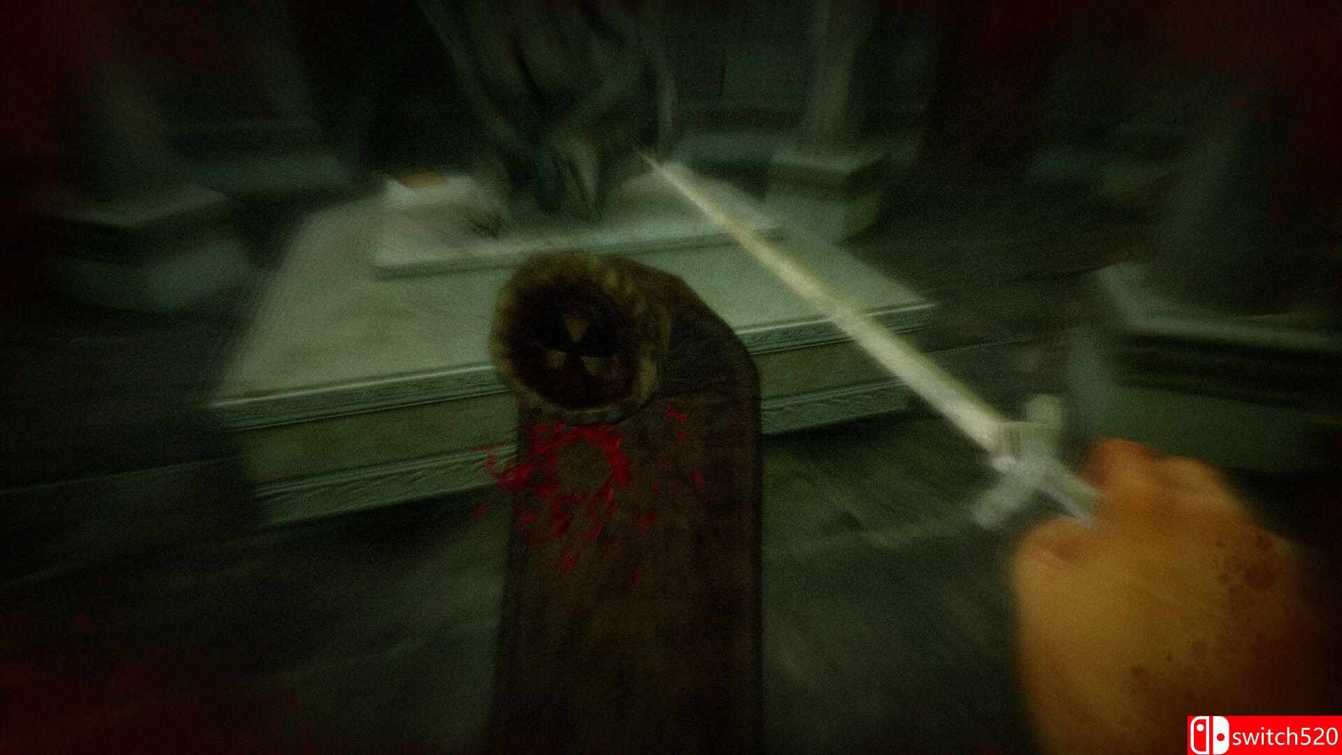 《死亡之帽（Caput Mortum）》官方中文 TENOKE镜像版[CN/EN/JP]_5