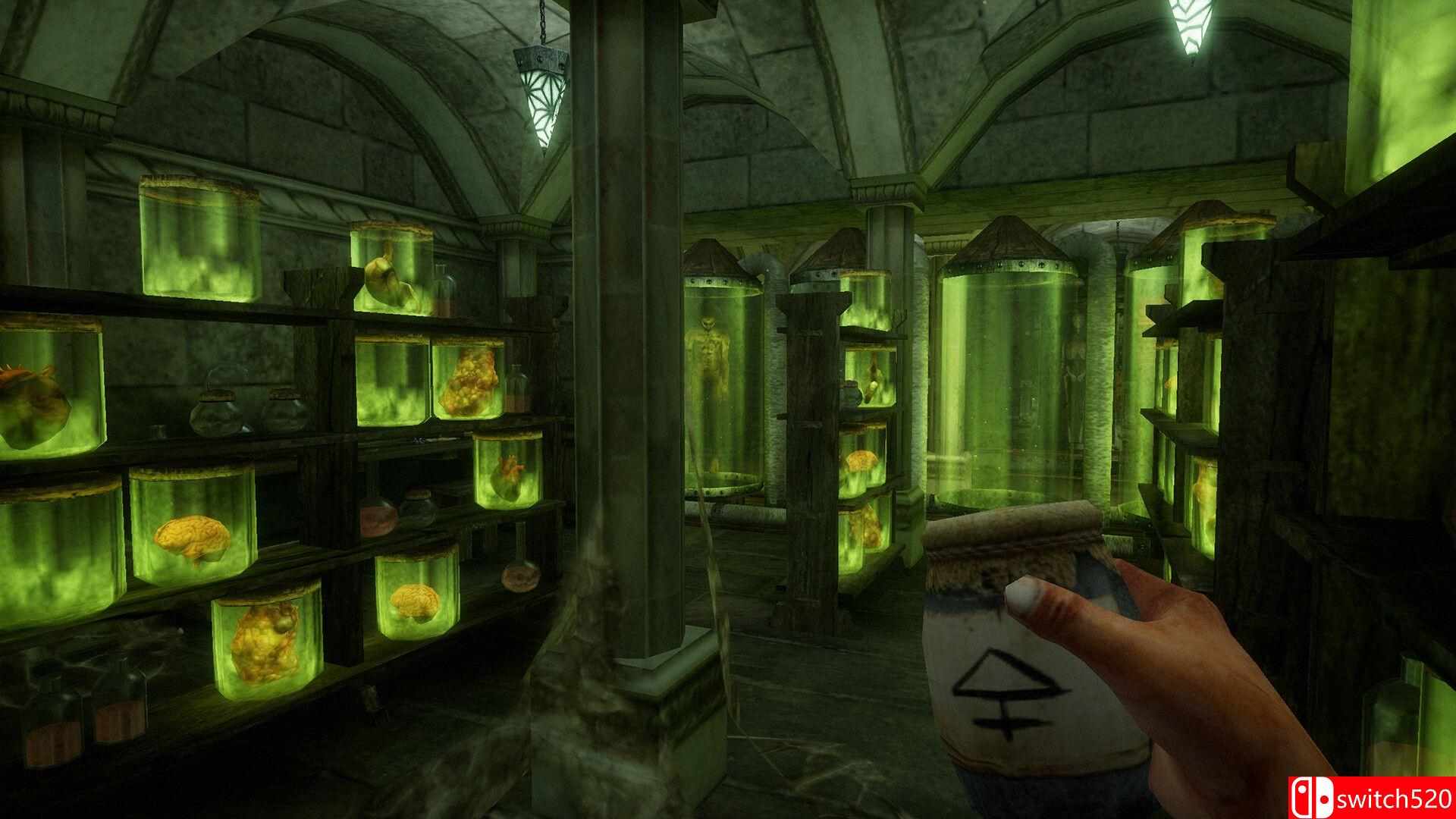 《死亡之帽（Caput Mortum）》官方中文 TENOKE镜像版[CN/EN/JP]_4