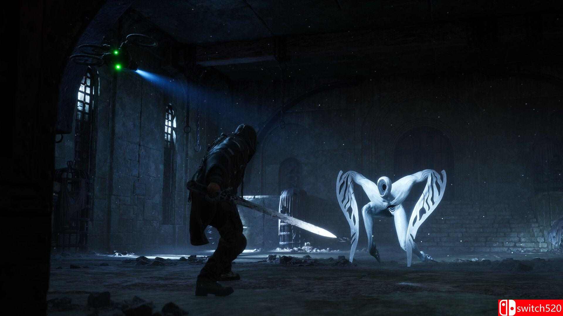 《地狱即我们（Hell is Us）》官方中文  FLT镜像版[CN/EN/JP]_1