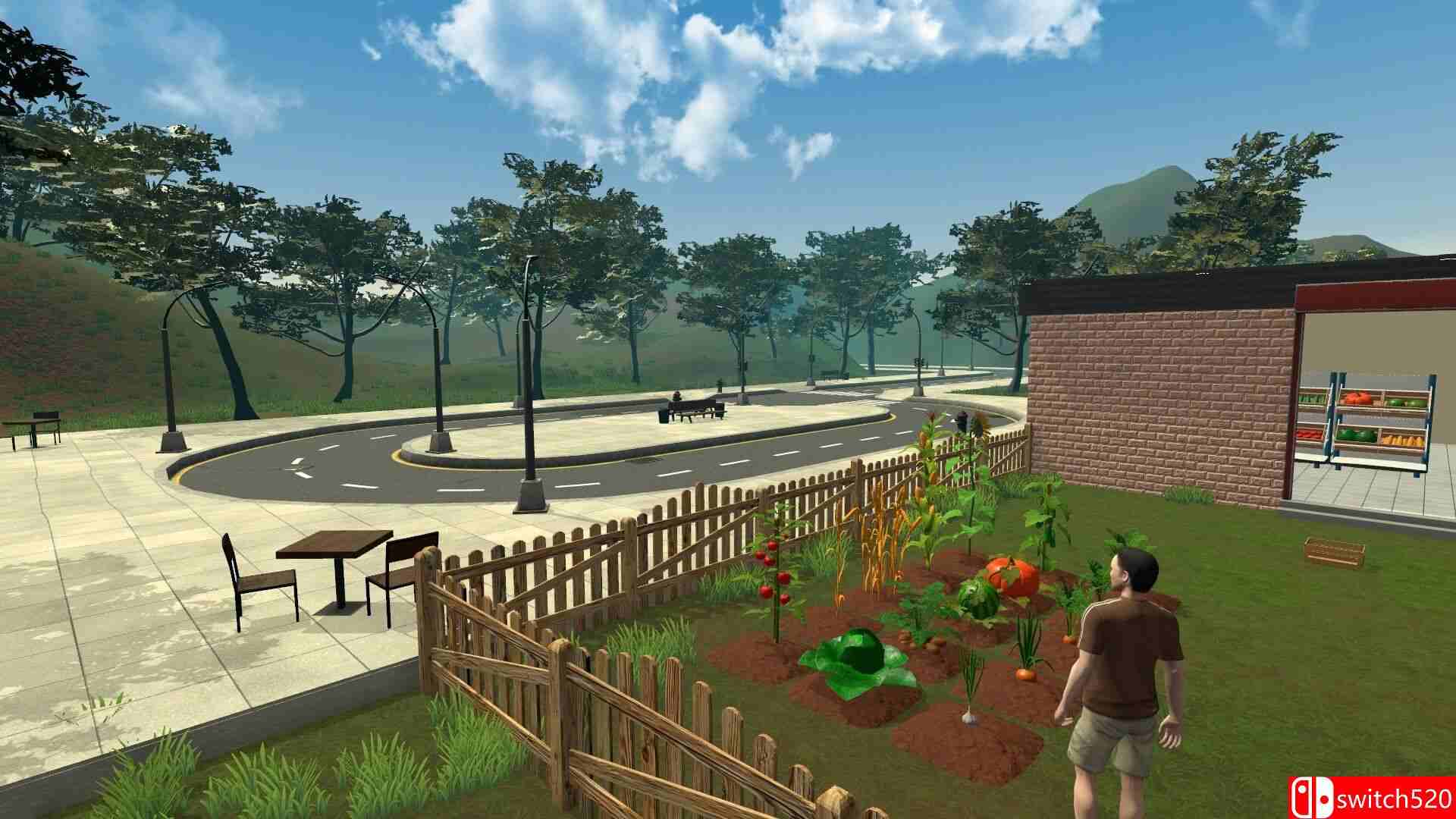 《农场与超市模拟器（Farming Supermarket Simulator）》官方中文 TENOKE镜像版[CN/EN/JP]_1