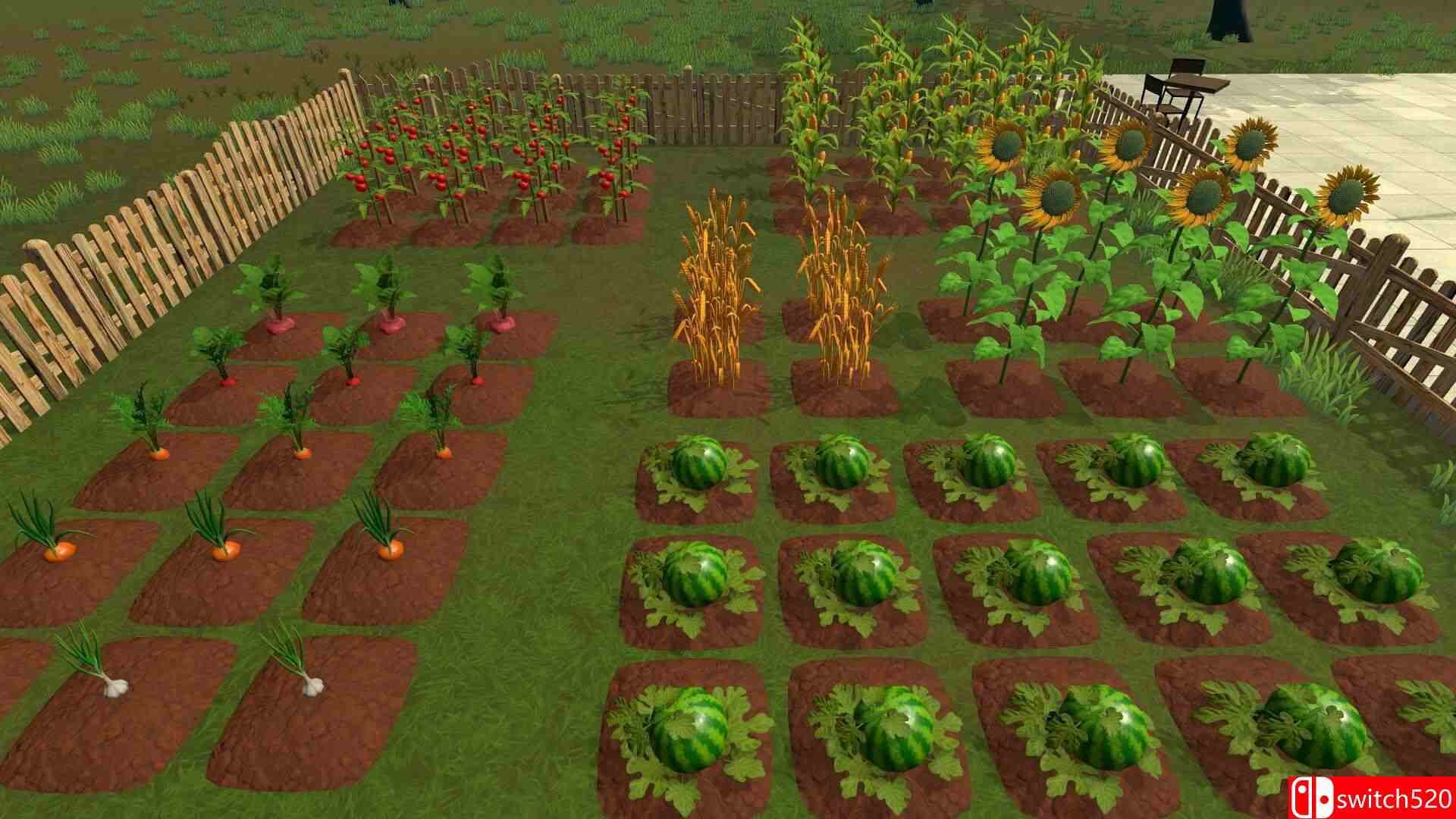 《农场与超市模拟器（Farming Supermarket Simulator）》官方中文 TENOKE镜像版[CN/EN/JP]_4