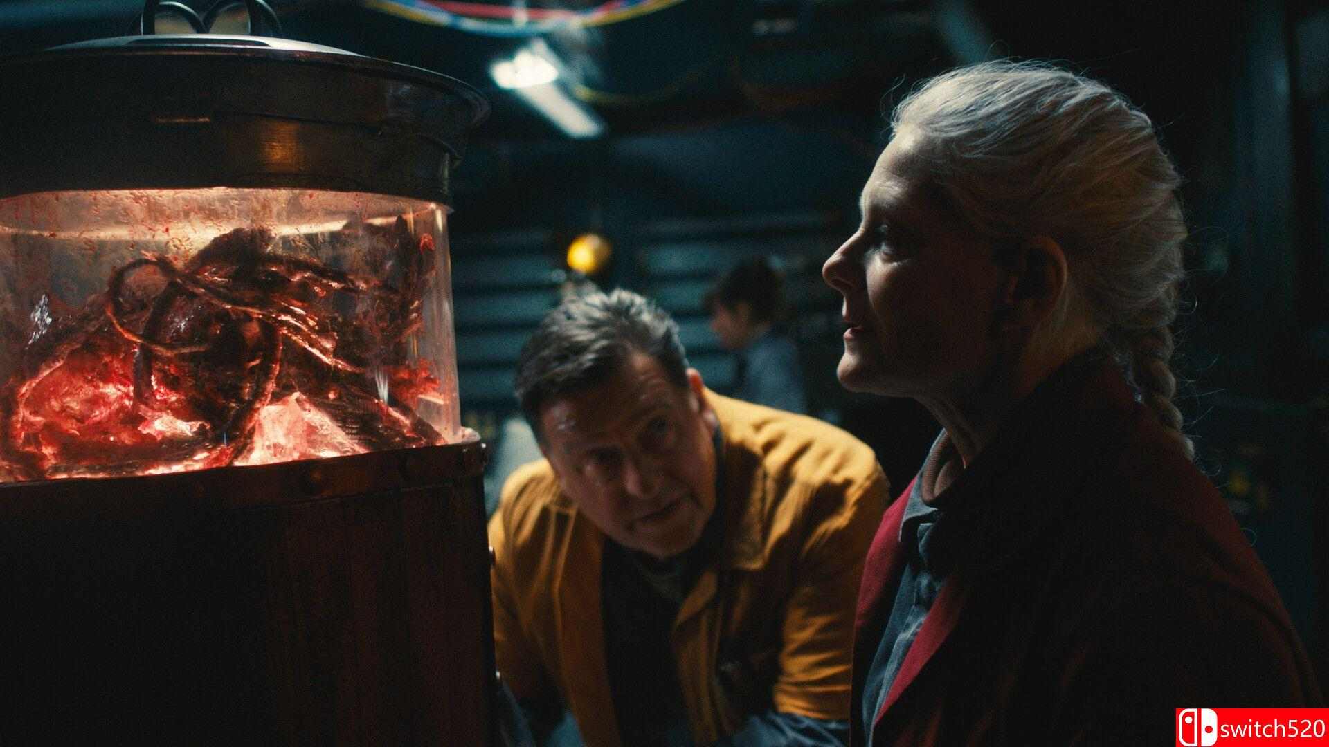 《死亡重启（Dead Reset）》官方中文 DOGE镜像版[CN/EN]_1