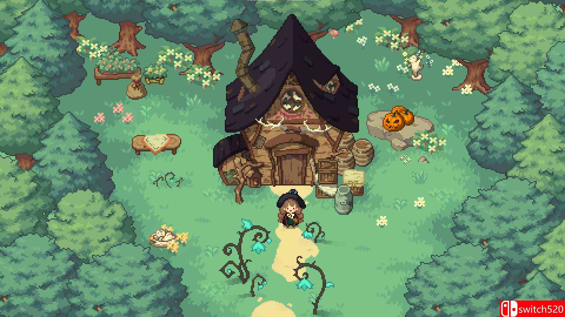 《林中小女巫（Little Witch in the Woods）》官方中文  VACE硬盘版[CN/TW/EN/JP]_1