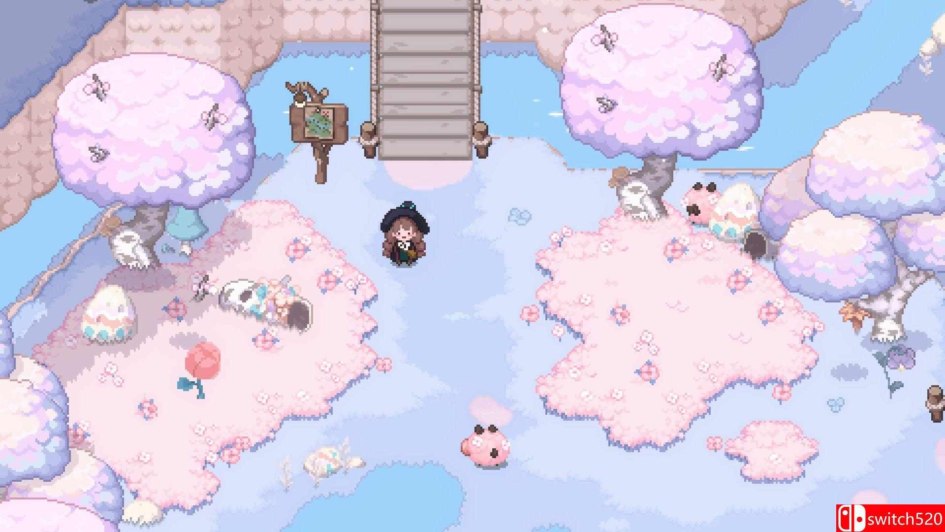 《林中小女巫（Little Witch in the Woods）》官方中文  VACE硬盘版[CN/TW/EN/JP]_2