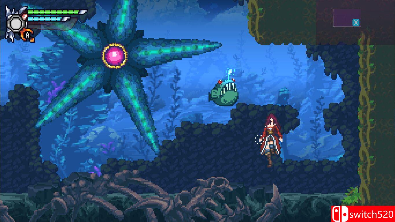 《托紫娅之夜：炼金术士之令（Toziuha Night: Order of the Alchemists）》P2P硬盘版[EN]_2