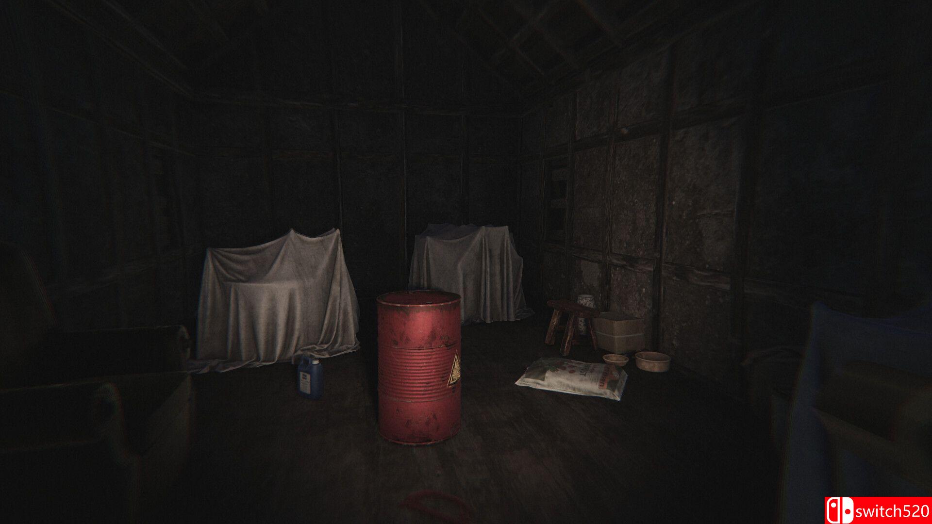 《寂静死寂：诅咒回响（Dead Silence - Echoes of the Damned）》TiNYiSO镜像版[CN/EN/JP]_3