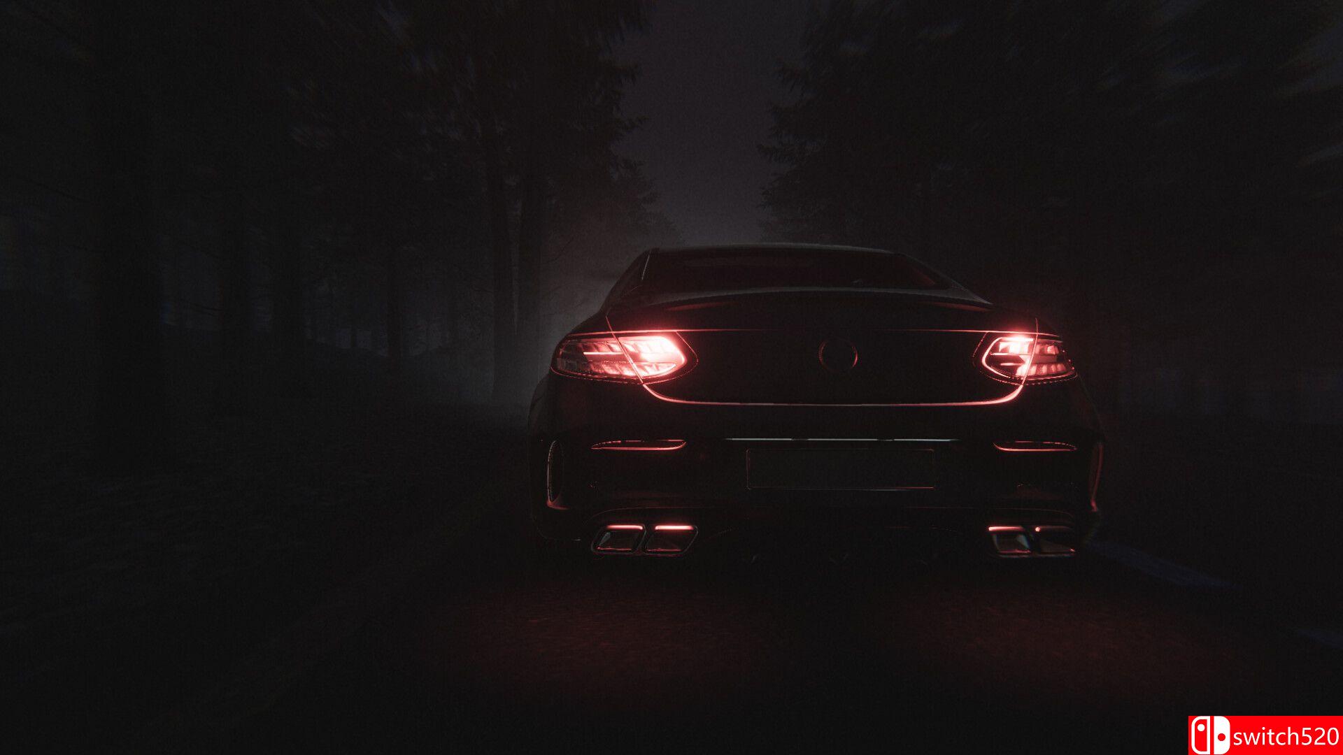 《寂静死寂：诅咒回响（Dead Silence - Echoes of the Damned）》TiNYiSO镜像版[CN/EN/JP]_1